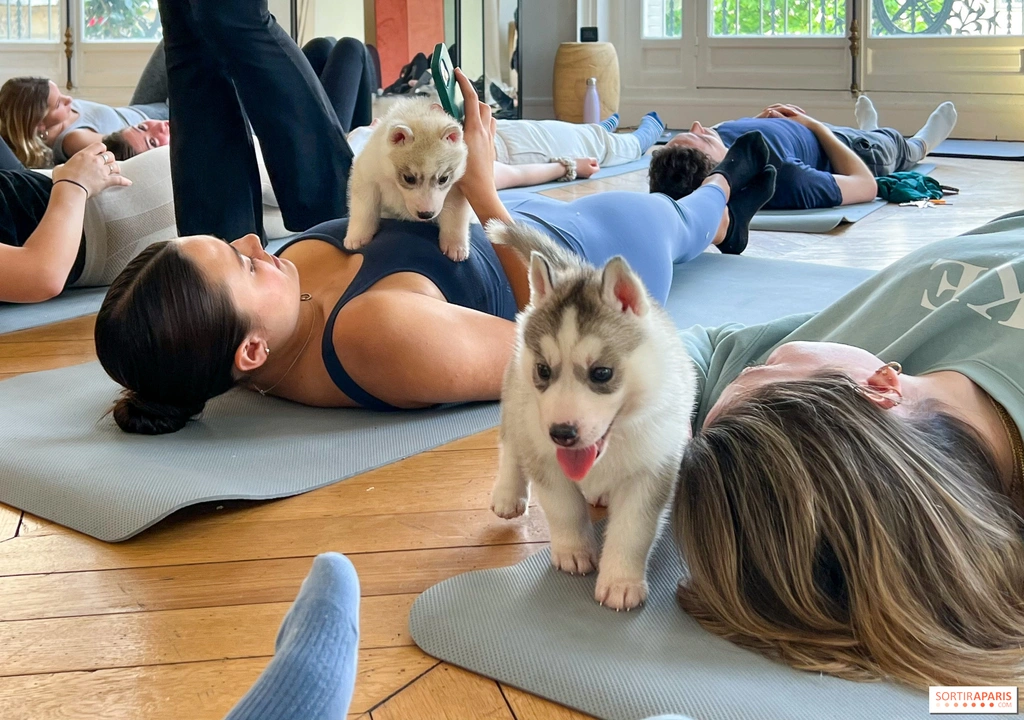 Puppy Yoga