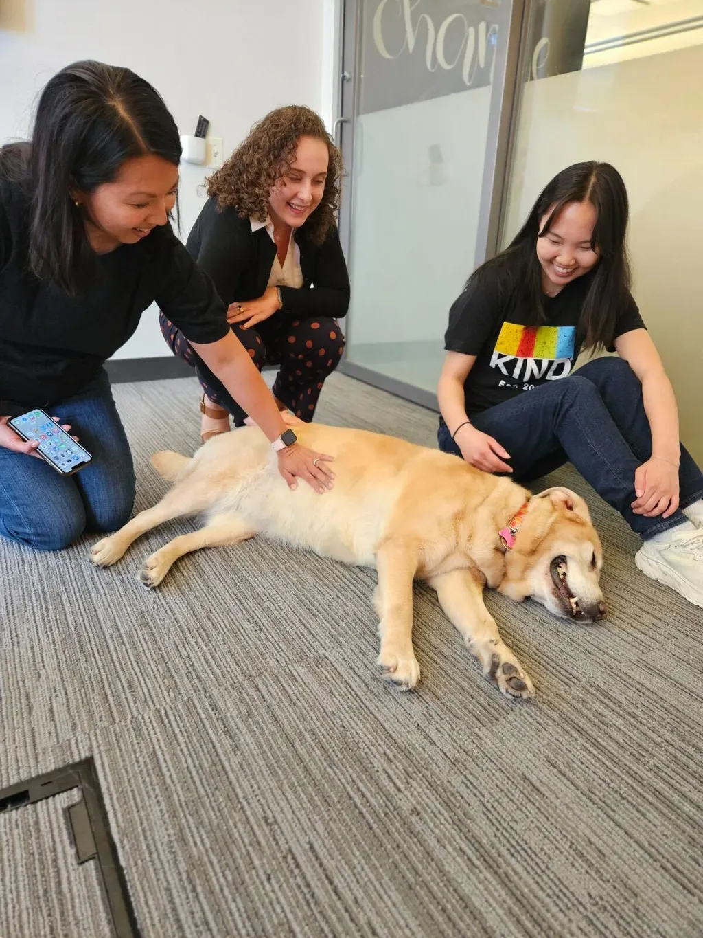 Therapy Dog Visits